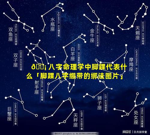 🐡 八字命理学中脚踝代表什么「脚踝八字绷带的绑法图片」